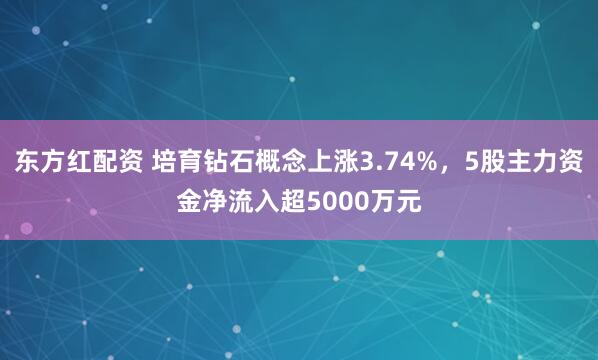 东方红配资 培育钻石概念上涨3.74%，5股主力资金净流入超5000万元