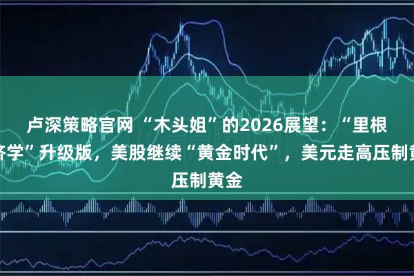 卢深策略官网 “木头姐”的2026展望：“里根经济学”升级版，美股继续“黄金时代”，美元走高压制黄金