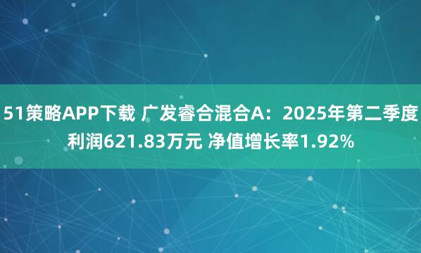 51策略APP下载 广发睿合混合A：2025年第二季度利润621.83万元 净值增长率1.92%